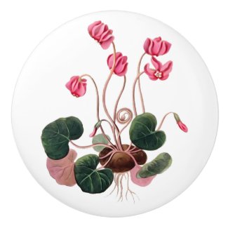 Pink Cyclamen Botanical Round Knob