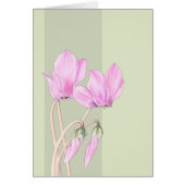 Pink Cyclamens green Card (Front)