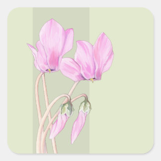Pink Cyclamens green Square Sticker
