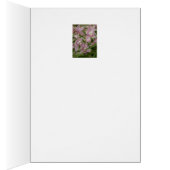 Pink Cymbidium Orchid Cards (Inside (Right))