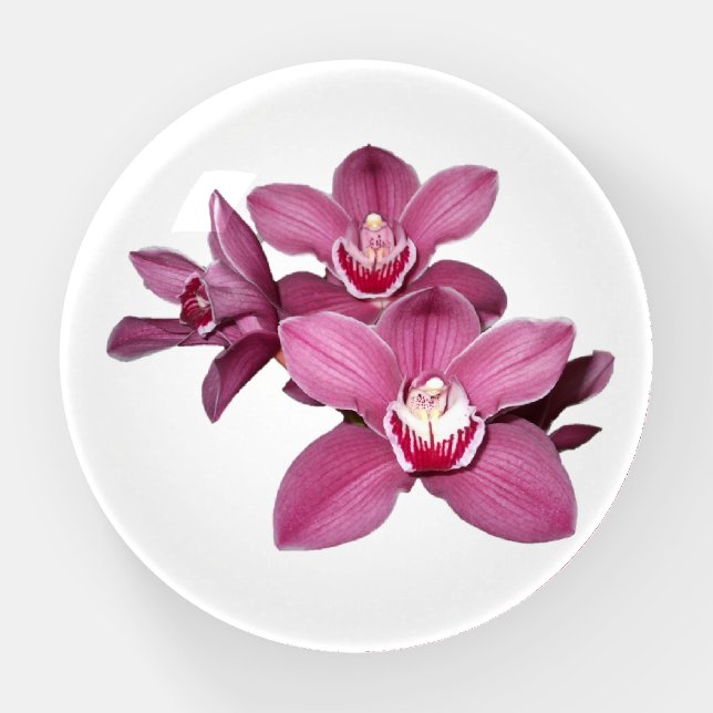 Pink Cymbidium Orchid Paperweight (Front)