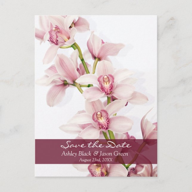 Pink Cymbidium Orchid Wedding Save the Date Announcement Postcard (Front)