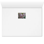 Pink Cymbidium Orchids Cards (Inside Horizontal (Bottom))