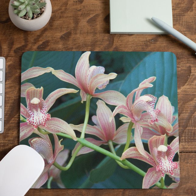 Pink Cymbidium Orchids Floral Mouse Pad (In Situ)