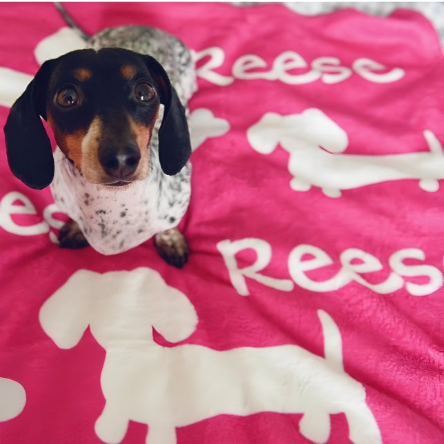 Pink Dachshund Wiener Dog Blanket Customize Name (Personalized dachshund blanket - add your doxies name and favorite color)