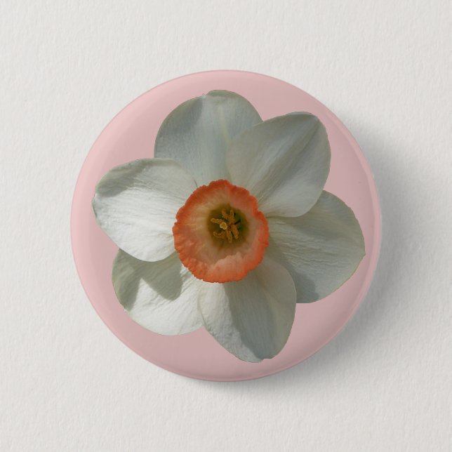 Pink Daffodil Spring Flower Button (Front)