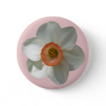 Pink Daffodil Spring Flower Button