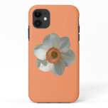 Pink Daffodil Spring Flower iPhone 11 Case