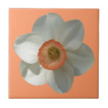 Pink Daffodil Spring Flower Ceramic Tile