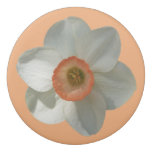 Pink Daffodil Spring Flower Eraser