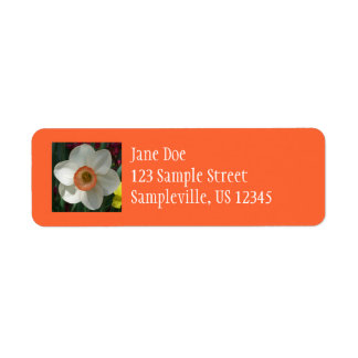 Pink Daffodil Spring Flower Label