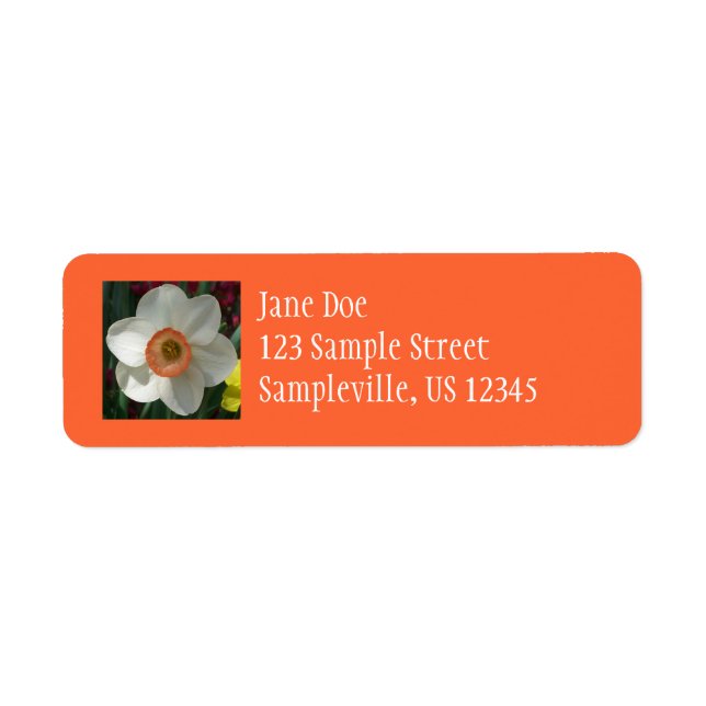 Pink Daffodil Spring Flower Label (Front)