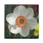 Pink Daffodil Spring Flower Magnet