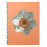 Pink Daffodil Spring Flower Notebook