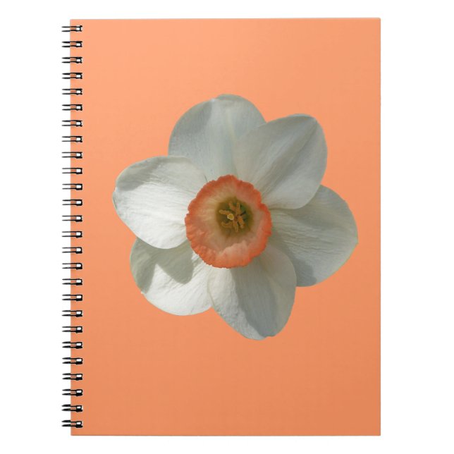 Pink Daffodil Spring Flower Notebook (Front)