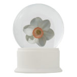 Pink Daffodil Spring Flower Snow Globe