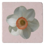 Pink Daffodil Spring Flower Trivet