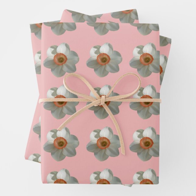 Pink Daffodil Spring Flower Wrapping Paper Sheets (In situ)