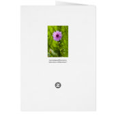 Pink Dahlia, Aquarell Effect (Back)