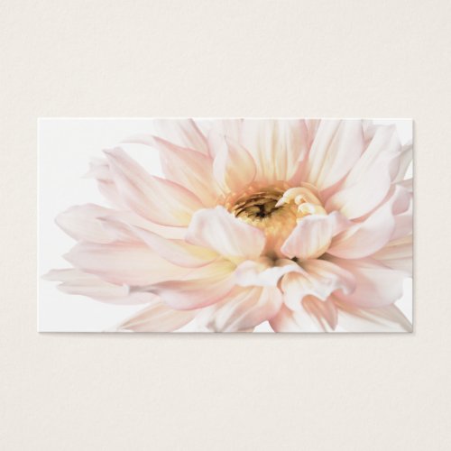 Pink Dahlia Artwork - Customize Business Cards