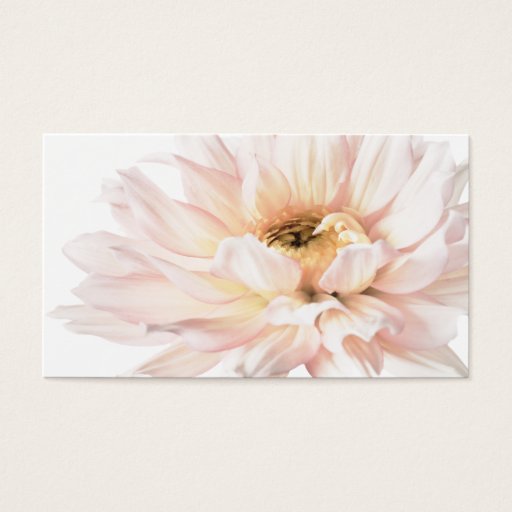 Customizable Pink Dahlia Artwork - Customize Business Cards