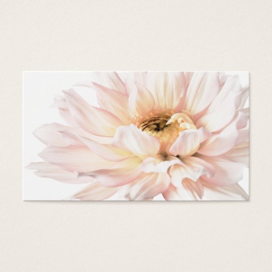 Pink Dahlia Artwork - Customize (Front)