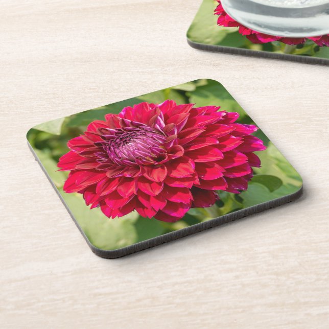 Pink Dahlia, Beautiful Flower Photography Beverage Coaster (Left Side)