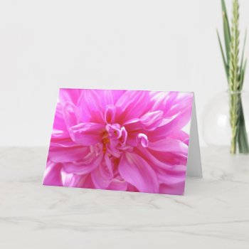 Pink Dahlia Blank Floral Card by pulsDesign at Zazzle