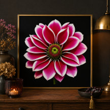 Pink Dahlia Bloom Fine Art Print