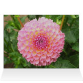 Pink Dahlia Card (Inside Horizontal (Top))