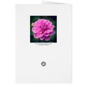 Pink Dahlia Cards (Back)