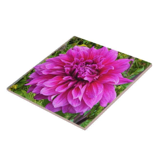 Pink Dahlia Ceramic Tile (Side)