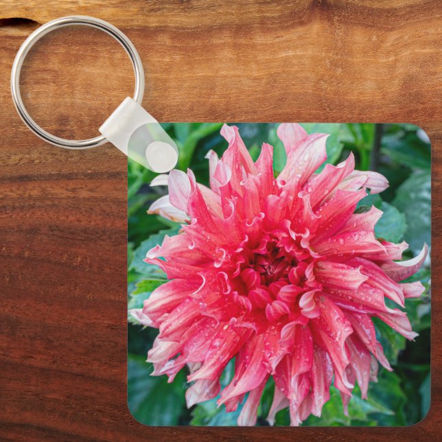 Pink Dahlia, Dramatic Ruffled Flower Keychain (Front)