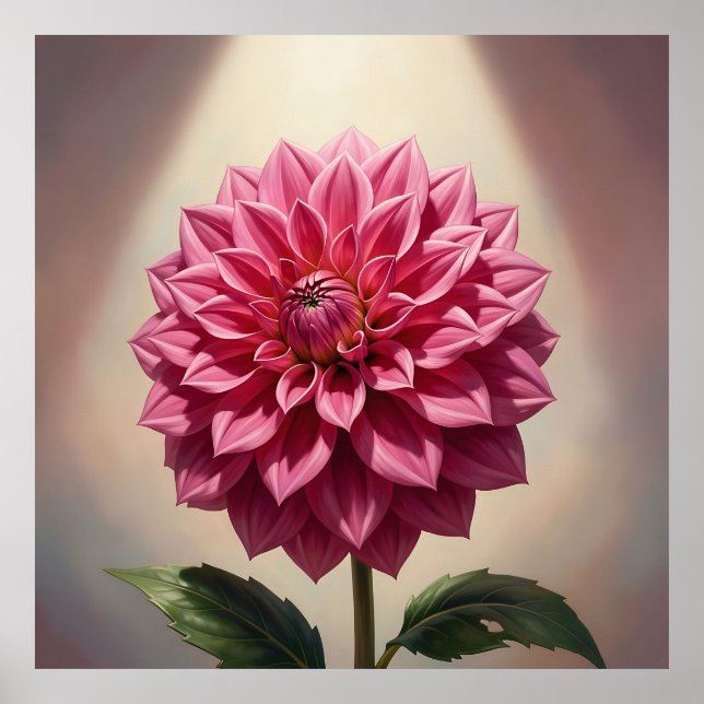 Pink Dahlia Flower Botanical Poster (Front)