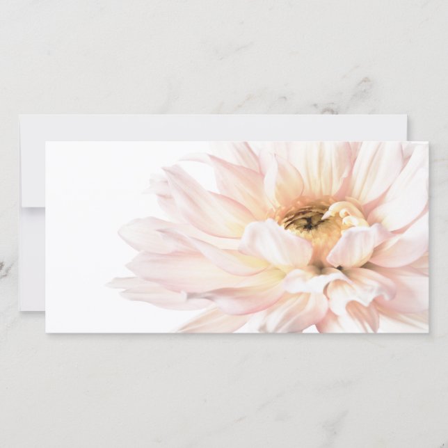 Pink Dahlia Flower - Dahlias Customized Template (Front)