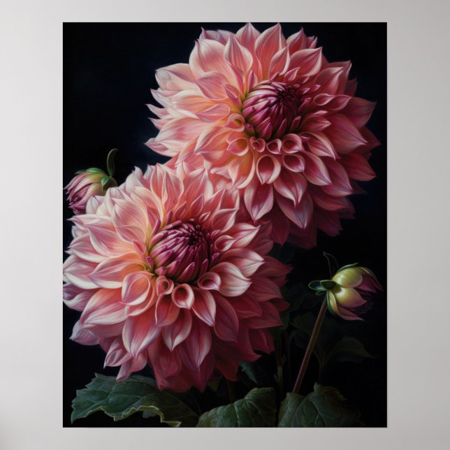 Pink Dahlia Flowers Art Print Poster (Front)