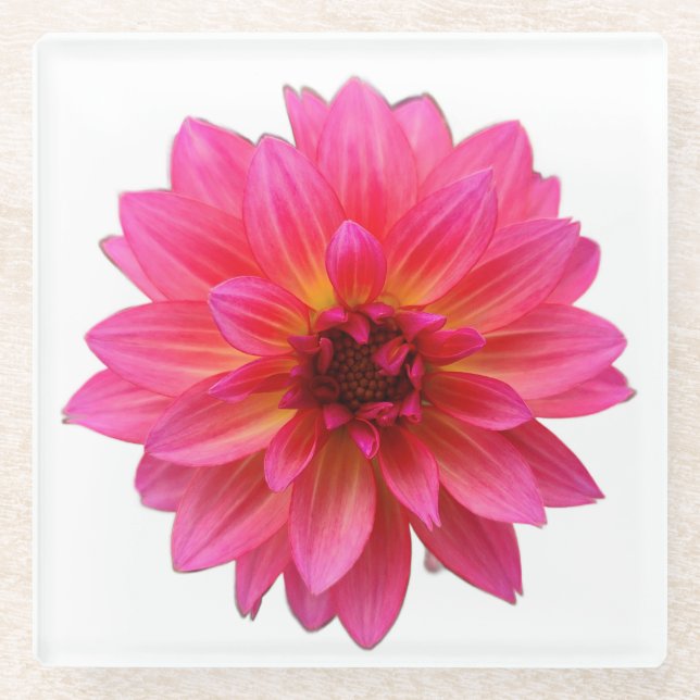 Pink Dahlia Glass Coaster (Front)