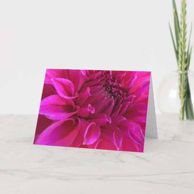 Pink Dahlia Greeting Card (Front)