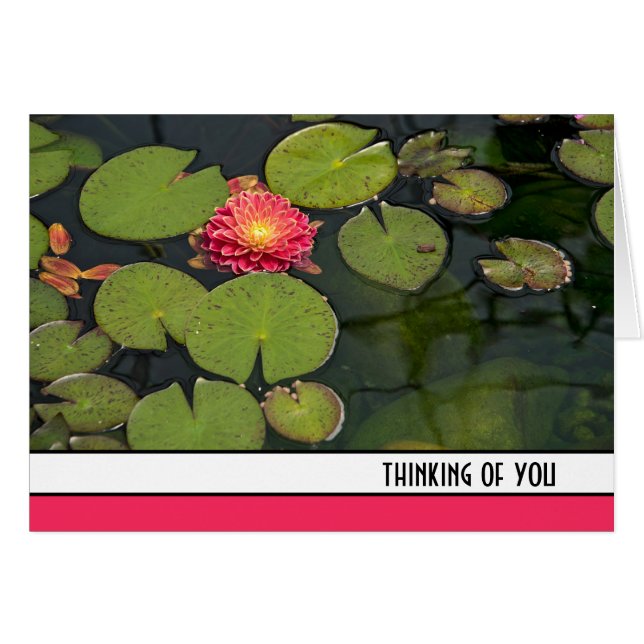 Pink Dahlia In Lily Pads Cards (Front Horizontal)