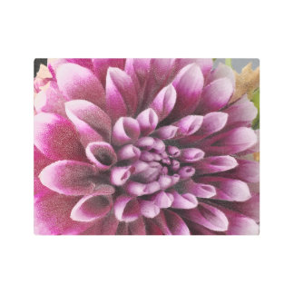 Pink Dahlia Metal Print