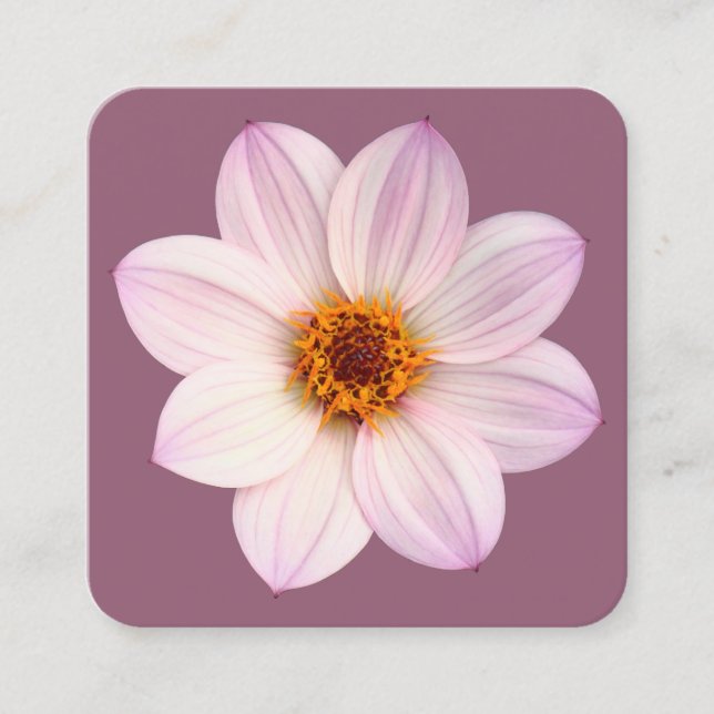 Pink Dahlia on #945E76 Square Business Card (Front)