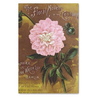 Pink Dahlia on Brown Antique Print Tissue Paper