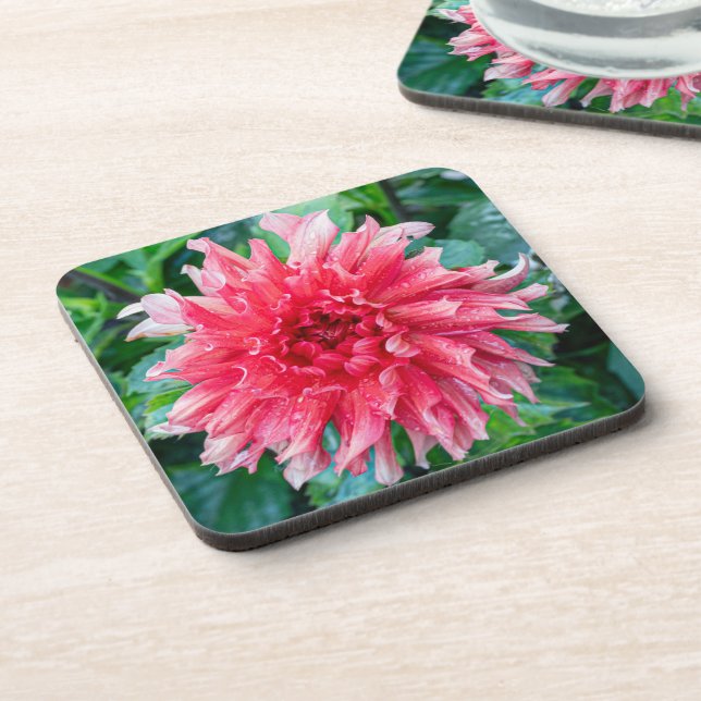 Pink Dahlia Photography, Canadian Beauty Beverage Coaster (Left Side)