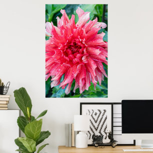 Pink Dahlia Photography, Canadian Beauty Poster