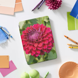 Pink Dahlia Photography, Pink Canadian Flower iPad Pro Cover