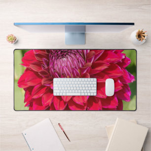 Pink Dahlia Splendor: In Full Bloom Desk Mat
