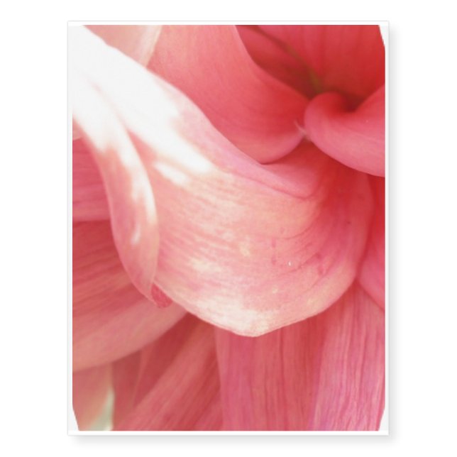 Pink Dahlia Temporary Tattoos (Front)