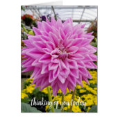 pink dahlia-thinking of you (Front)