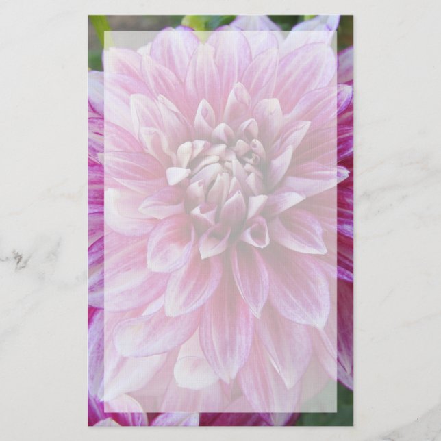 Pink Dahlia With Border Stationery (Front)