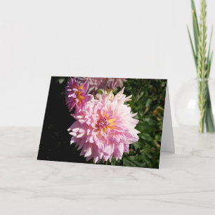 Pink Dahlia with Orange Blank Greeting Card